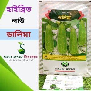 হাইব্রিড লাউ ডালিয়া  Daliya  Bottle Gourd