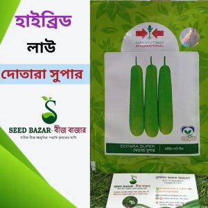 দোতারা সুপার লাউ Dotara Supper  Bottle Gourd