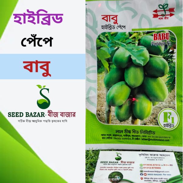 লাল তীর হাইব্রিড পেঁপে – বাবু