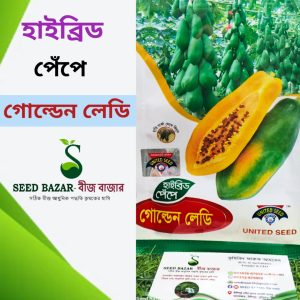 হাইব্রিড গোল্ডেন লেডি পেঁপে বীজ Golden Leady Papaya