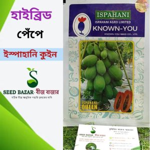 হাইব্রিড ইস্পাহানি কুইন পেঁপে Ispahani Queen Papaya