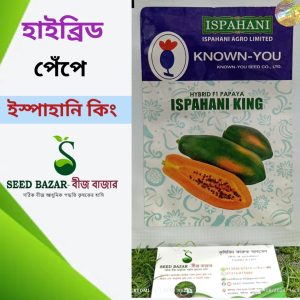 হাইব্রিড ইস্পাহানি কিং পেঁপে Ispahani King Papaya