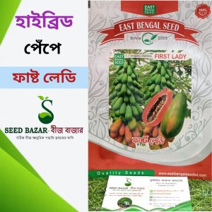 হাইব্রিড ফাস্ট লেডি পেঁপে বীজ (১ গ্রাম)  First Lady Papaya Seed