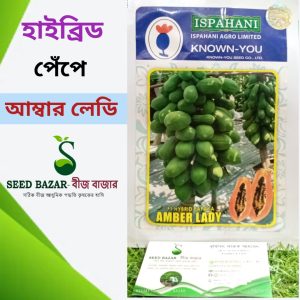 হাইব্রিড আম্বার লেডি পেঁপে (মিনি প্যাকেট)  Amber Lady Papaya