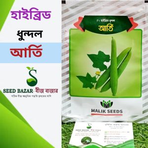 আর্তি ধুন্দল