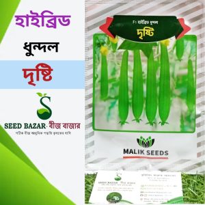 দৃষ্টি ধুন্দল