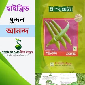 আনন্দ ধুন্দল