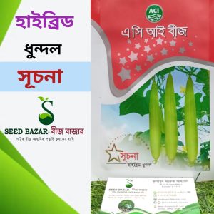 সূচনা ধুন্দল