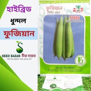 ফুজিয়ান ধুন্দল বীজ