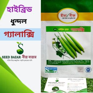 গ্যালাক্সি ধুন্দল