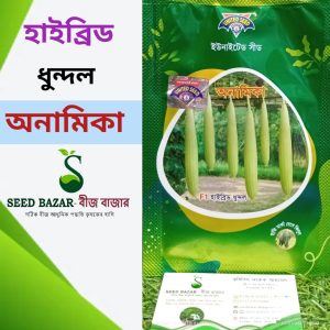 অনামিকা ধুন্দল বীজ
