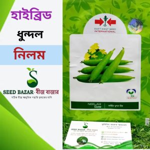 নিলম ধুন্দল বীজ