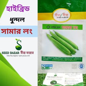 সামার লং ধুন্দল