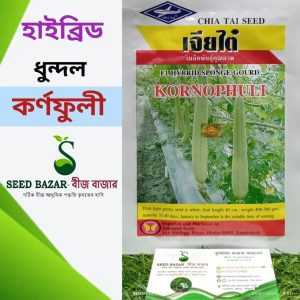 কর্ণফুলী ধুন্দল বীজ
