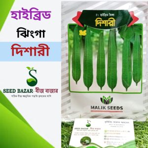 হাইব্রিড ঝিংগা বীজ দিশারী Dishari Ridge Gourd