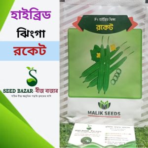 হাইব্রিড ঝিংগা বীজ-রকেট