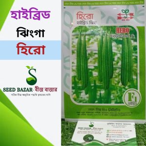 হাইব্রিড ঝিংগা বীজ- হিরো