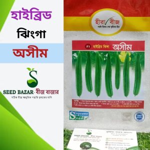 হাইব্রিড ঝিংগা বীজ- অসীম
