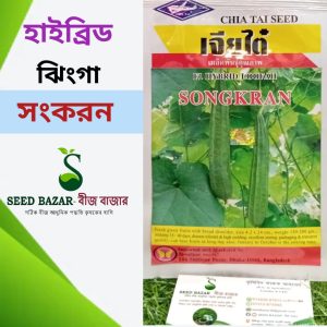 হাইব্রিড ঝিংগার বীজ-সংকরন