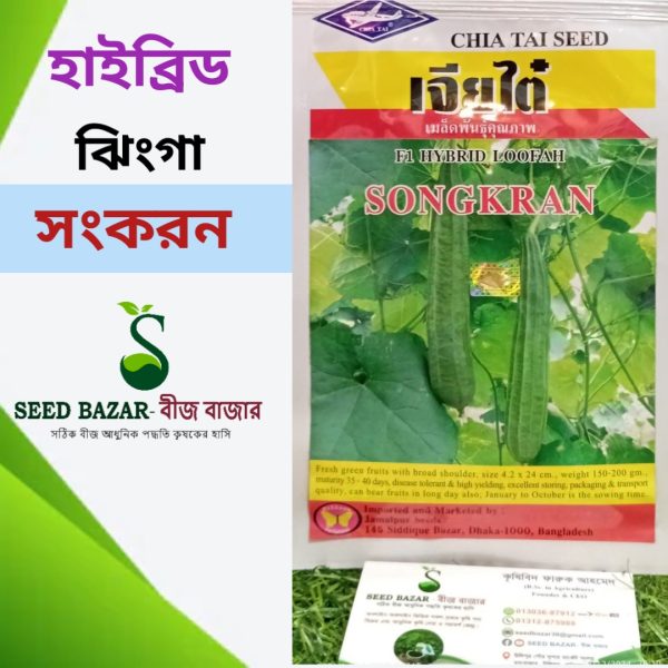 হাইব্রিড ঝিংগার বীজ-সংকরন