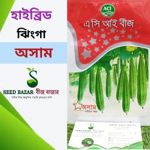 এসি আই হাইব্রিড ঝিংগার বীজ -অসাম ACI Asham Ridge Gourd
