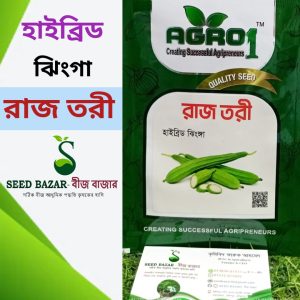 এগ্রো-১ হাইব্রিড ঝিংগা বীজ-রাজতরী Agro-1  Rajtori Ridge Gourd Seed