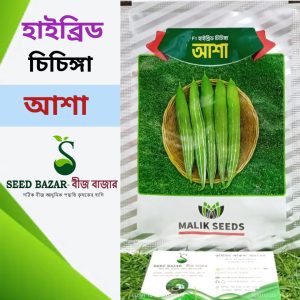 হাইব্রিড চিচিঙ্গা বীজ-আশা