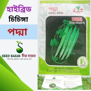 লাল তীর হাইব্রিড চিচিঙ্গা বীজ-পদ্মা
