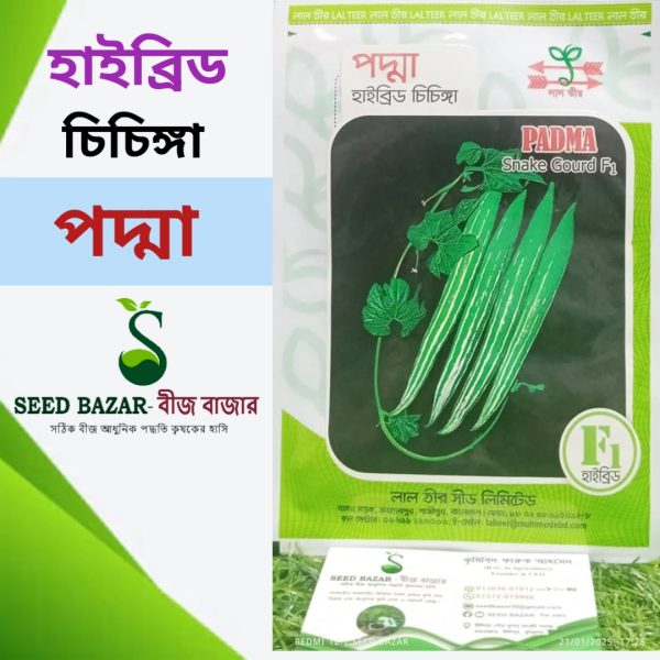 লাল তীর হাইব্রিড চিচিঙ্গা বীজ-পদ্মা