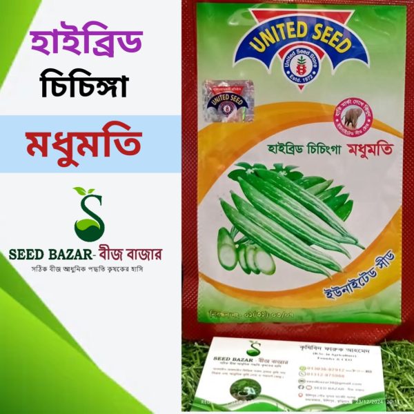 হাইব্রিড মধুমতি চিচিঙ্গা বীজ