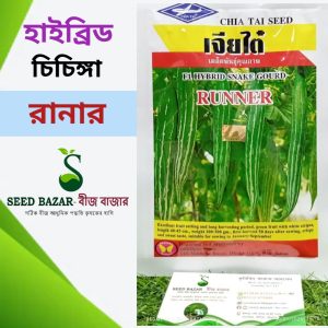 হাইব্রিড চিচিঙ্গা বীজ-রানার