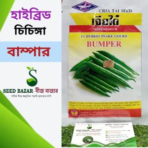 চিয়া থাই কোম্পানি হাইব্রিড চিচিঙ্গা-বাম্পার