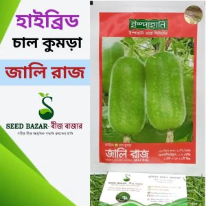 ইস্পাহানি কোম্পানির হাইব্রিড  চাল কুমড়া-জালিরাজ