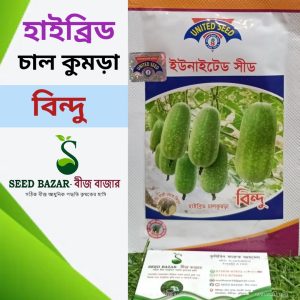 ইউনাইটেড সীড কোম্পানি হাইব্রিড চাল কুমড়া-বিন্দু