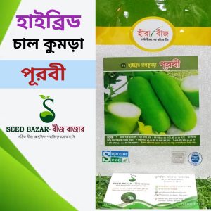সুপ্রিম সীড কোম্পানির হাইব্রিড চাল কুমড়া-পূরবী