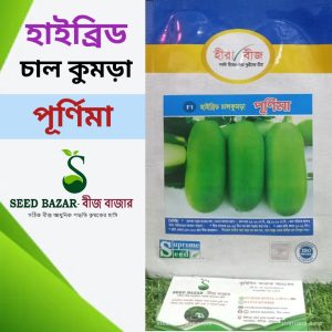 সুপ্রিম সীড কোম্পানির হাইব্রিড চাল কুমড়া-পূর্ণিমা