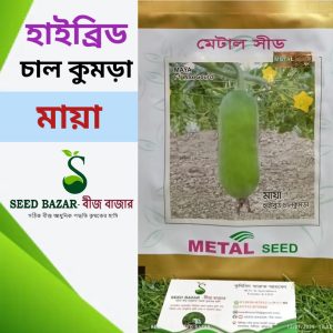 মেটাল সীড কোম্পানি হাইব্রিড চাল কুমড়া-মায়া