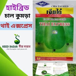 চিয়া থাই কোম্পানির হাইব্রিড চাল কুমড়া-থাই এক্সপ্রেস