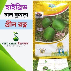 ইউনাইটেড সীড কোম্পানির হাইব্রিড চাল কুমড়া-গ্রীন রত্ন