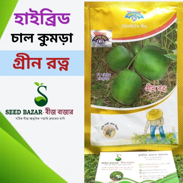 ইউনাইটেড সীড কোম্পানির হাইব্রিড চাল কুমড়া-গ্রীন রত্ন