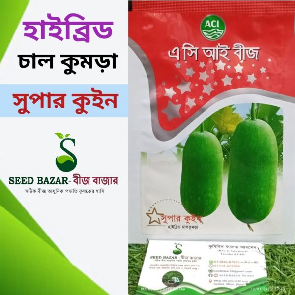 এসিআই কোম্পানির হাইব্রিড চাল কুমড়া-সুপার কুইন