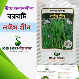 মালিক সীড কোম্পানির বরবটি-নাইচ গ্রীন