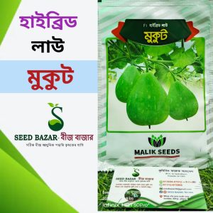 হাইব্রিড গোল লাউ বীজ -মুকুট