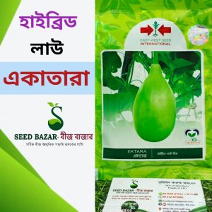 হাইব্রিড গোল লাউ বীজ-একতারা