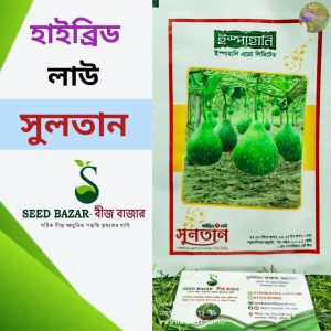 হাইব্রিড গোল লাউ - সুলতান (মিনি প্যাকেট)