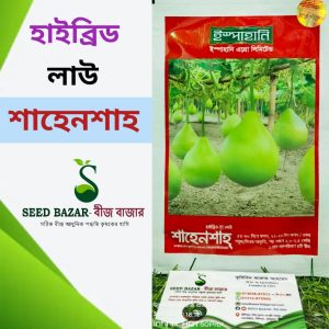 হাইব্রিড গোল লাউ -শাহেনশাহ (মিনি প্যাকেট)