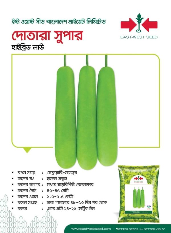 দোতারা সুপার লাউ Dotara Supper  Bottle Gourd - Image 2