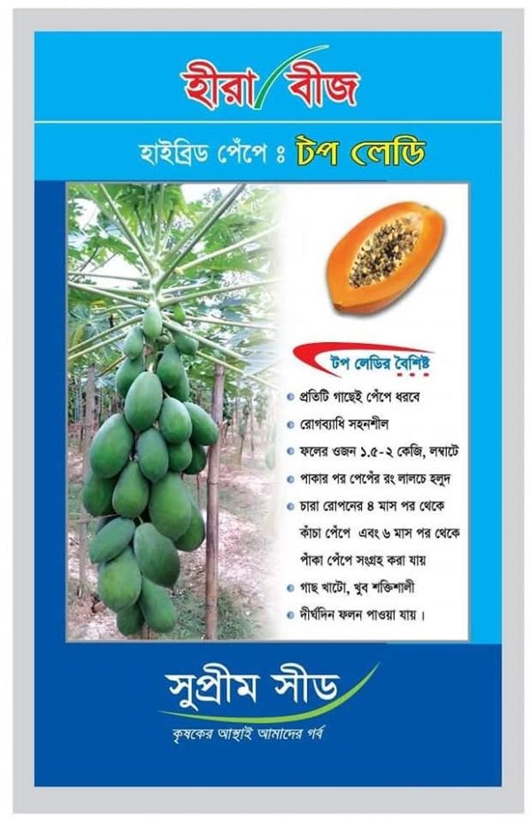 হাইব্রিড টপ লেডি পেঁপে বীজ Top Leady Papaya Seed - Image 2