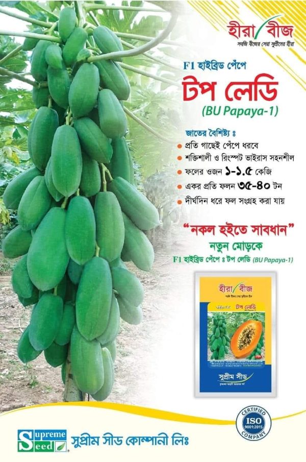 হাইব্রিড টপ লেডি পেঁপে বীজ Top Leady Papaya Seed - Image 3