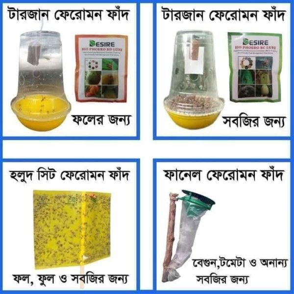 টারজান ফেরোমন ফাঁদ